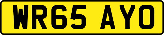 WR65AYO