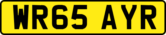 WR65AYR
