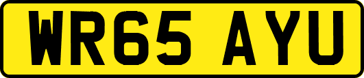 WR65AYU