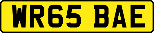 WR65BAE