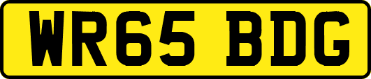 WR65BDG