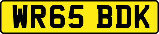 WR65BDK