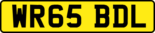 WR65BDL
