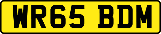 WR65BDM