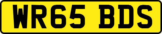 WR65BDS