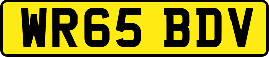 WR65BDV