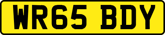 WR65BDY