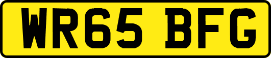 WR65BFG