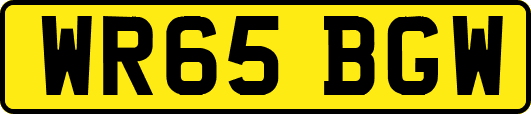 WR65BGW