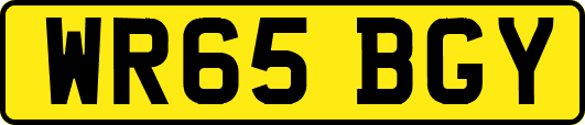 WR65BGY