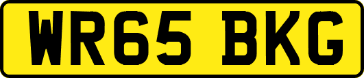 WR65BKG