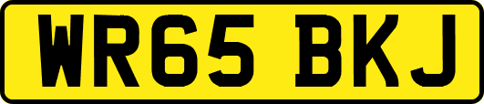 WR65BKJ