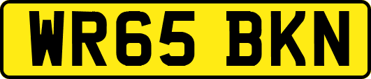 WR65BKN