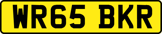 WR65BKR