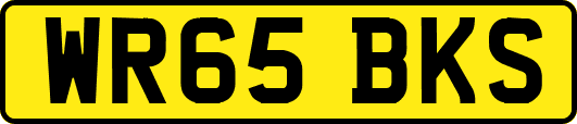 WR65BKS