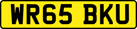 WR65BKU