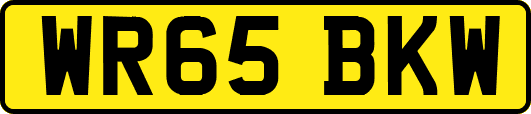 WR65BKW