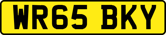 WR65BKY