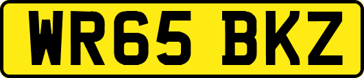 WR65BKZ