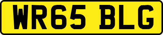 WR65BLG