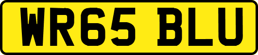 WR65BLU
