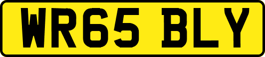 WR65BLY