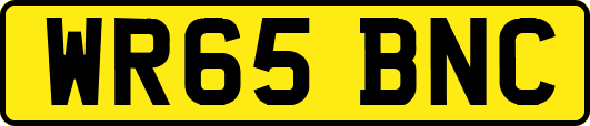 WR65BNC