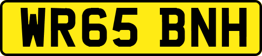 WR65BNH