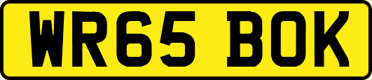 WR65BOK