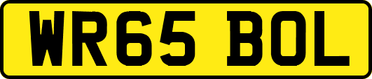WR65BOL