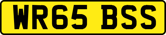 WR65BSS