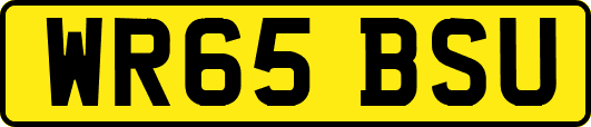 WR65BSU