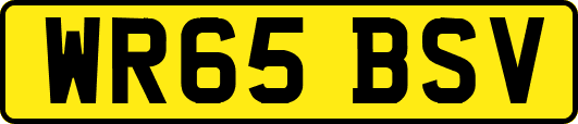 WR65BSV