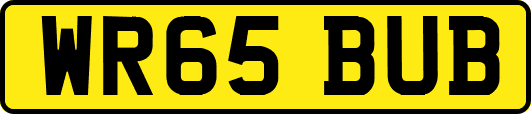 WR65BUB