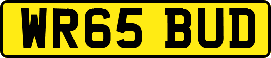 WR65BUD