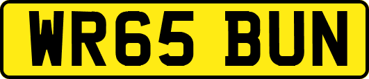 WR65BUN