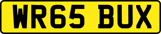 WR65BUX