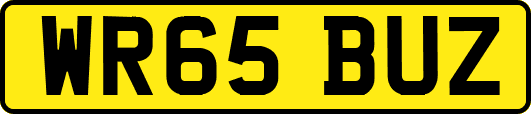 WR65BUZ