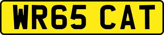 WR65CAT