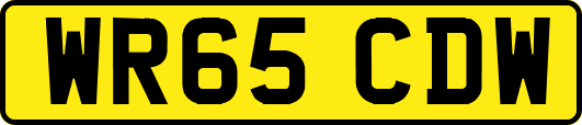 WR65CDW