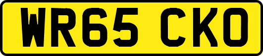 WR65CKO