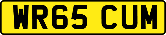 WR65CUM