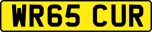 WR65CUR