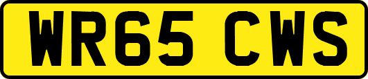 WR65CWS
