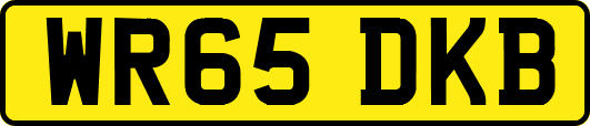 WR65DKB