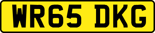WR65DKG