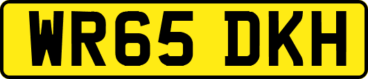 WR65DKH