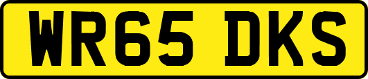 WR65DKS