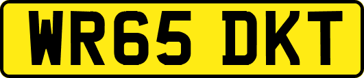 WR65DKT
