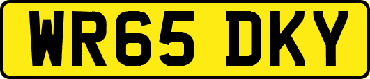 WR65DKY